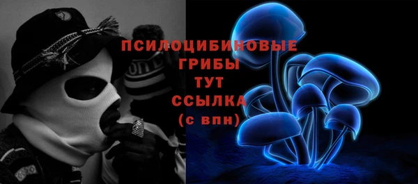 ALPHA PVP Баксан