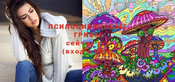 прущая мука Аркадак