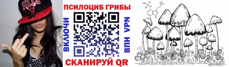купить закладку  Салаир  Псилоцибиновые грибы ЛСД 